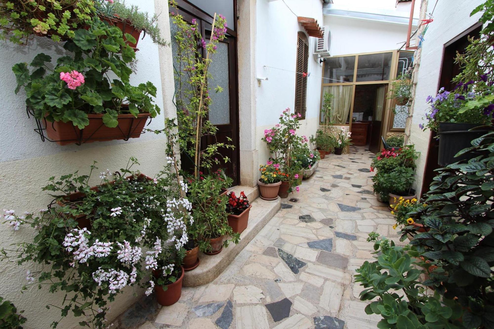 Apartma Riki